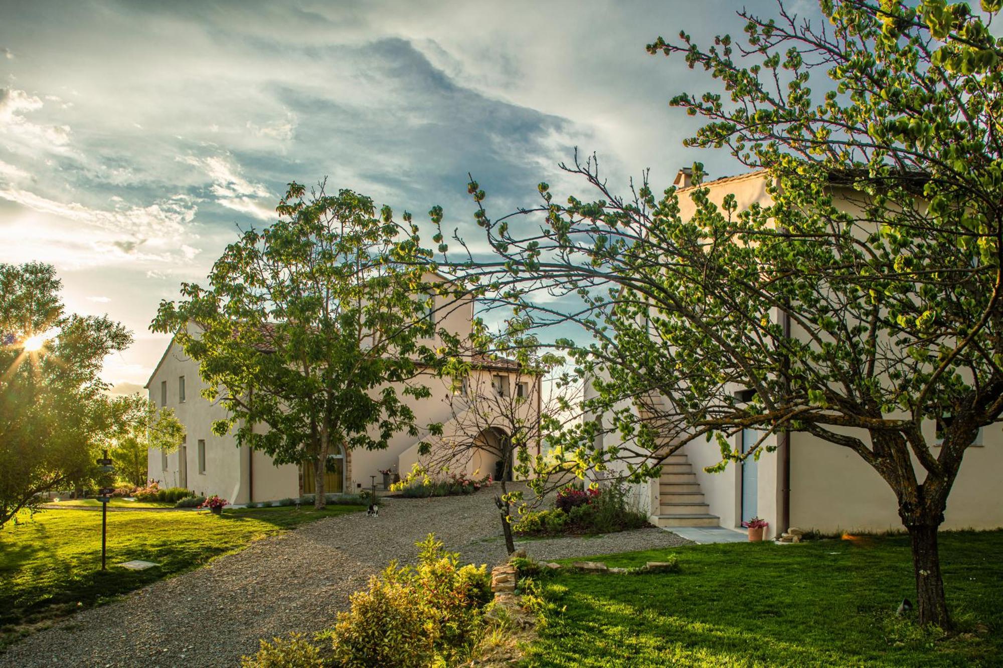 Relais Borgo Elissa Bed and Breakfast Certaldo Εξωτερικό φωτογραφία